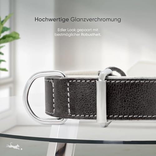 FREUDENTIER® Hundehalsband aus Leder, Made in EU, gefüttert & super komfortabel, hochwertiges breites Lederhalsband aus Vollnarbenleder, Model “Amstelpark” (Midnight, 37-47cm Halsumfang)
