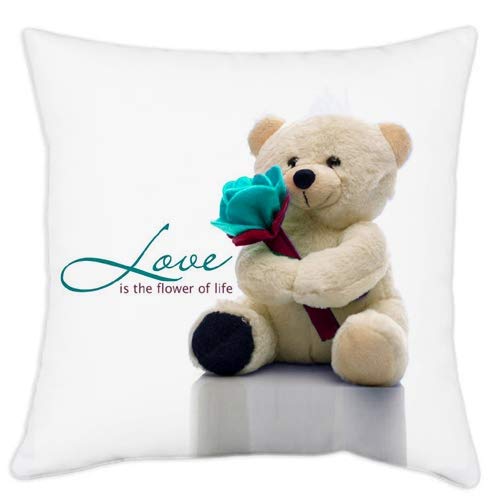 Akshant Gift Wrap Teddy Bear Printed Soft Satin Multicolor Cushion with Filler for Valentine Akshant Gift, Size-12x12 Inches Set of 1 Pcs