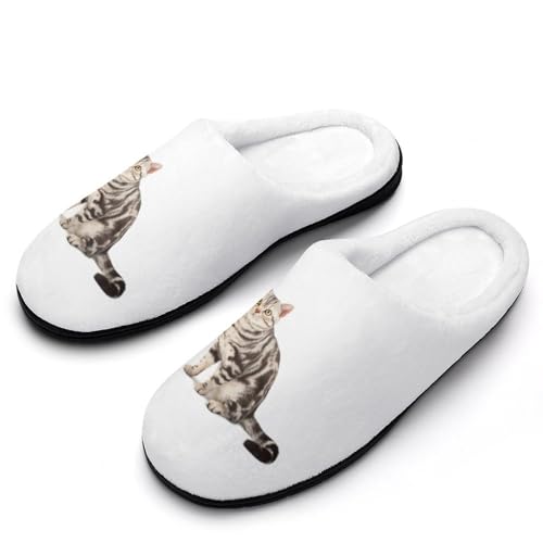 [NBKING] Xbp AJV[gwA L [V[Y  qp h g ~  jp ItBX gC Jbv y p E I[V[Yp 7-8i39-40)