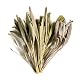Valley Of Tea Sage Organic
