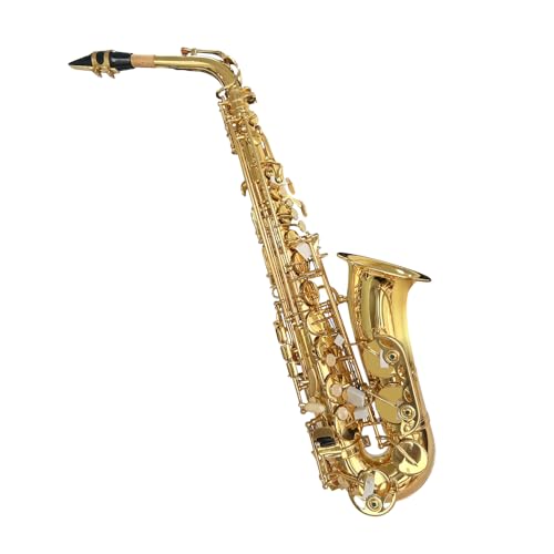 Image of Yinfente E Flat Alto Saxophone For Adult Beginners,Saxophone Student,Eb Alto Sax Full Kit With Reeds,Pads Cushions,Neck Strap,Hard Carrying Case,Mouthpiece,Cleaning Cloth & Rod,Gloves