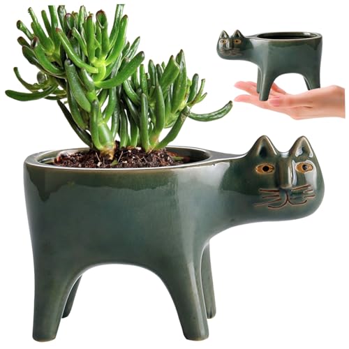 Pot de fleur conteneur plante succulente petit cache-pot intérieur