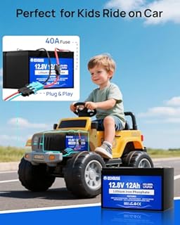 DC HOUSE 12V 12Ah Ride On Toys LiFePO4 Lithium Battery Kit with Wire Harness Connector & DC Port,5000+ Cycles Rechargeable Battery, Built-in 15A BMS for Kids Tractor, Fish Finder, UPS