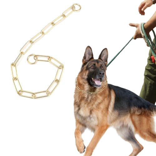 Joyzan Hundehalsband für Hunde, Hundehalsbänder, Kauversuch, Gold, Halbstrobe aus Metall, strapazierfähig, klein, mittelgroß, Training, Füße, Sicherheitskontrolle
