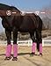 Tackmore Horse Fly Boots with Patterned Fleece Trim, Reduce Rubbing Fly Boots for Horses Set of 4 Summer Protective Leg Boots - Hot Fuchsia M