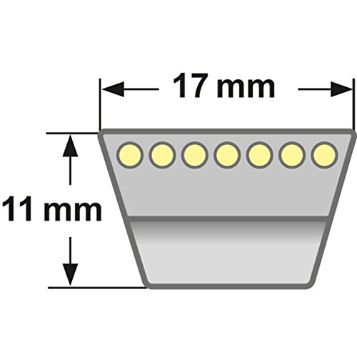 Cinghia Trapezoidale Z31 1/2 MEGADYNE Mm.10x800 - Foto 8