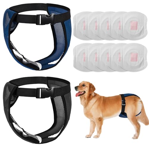 2 Pack Hündin Läufigkeitshose, Höschen für Hunde Läufigkeit, Schutzhose Hündin Waschbare, Hundehose Wiederverwendbare mit 10 Damenbinden, Verstellbare Hundewindeln für Hündinnen (XXL)