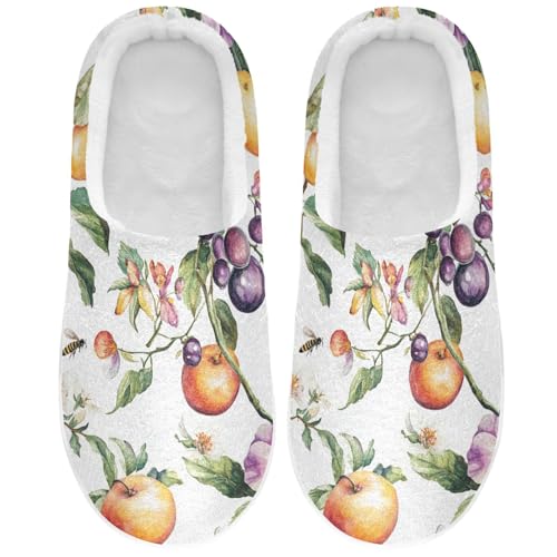 JUNZAN Melicoccus Bijugatus Fruit White Mens Home Cotton Slipper Wide Memory Foam Bedroom Shoes for Bedroom Funny Presents 6-7