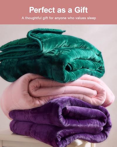 Super Fuzzy Soft Sherpa Fleece Weighted Blanket, 12 lbs Dual Sided Fluffy Heavy Weighted Blankets for Adults - No Bunching with Double Layers of Soft Inner Lining (48"x 72", 12 Pounds)