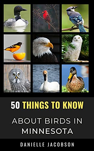 50 Things to Know About Birds in Minnesota : A Beginner-Friendly Guide to Bird Watching, Backyard Birds, and Nature in Minnesota (50 Things to Know About ... tips, and regional bird books)