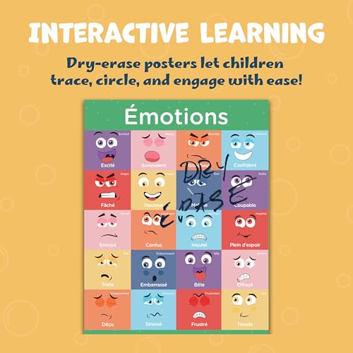 Hubble Bubble Kids 8 French Posters for Classrooms - French Language for Beginners 13x17 Classroom Posters are Dry-Erase and Include: Alphabet, Numbers, Colors and more