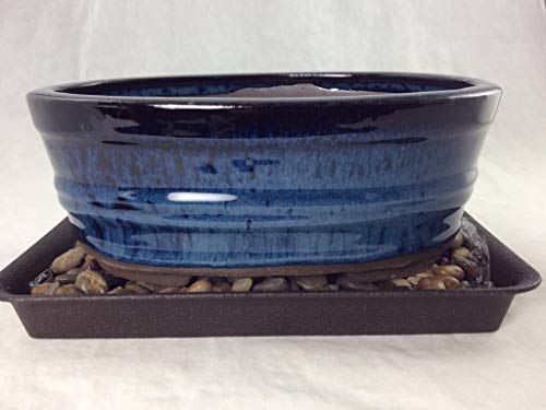 8" Oval Dark Blue Bonsai/Cactus & Succulent Pot + Tray + Rock +