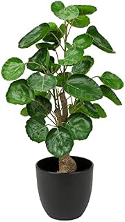 Hollyone 45CM Artificial Plant Fake Money Tree Indoor, Faux Greenery Decorative Artificial Plant in Black Pot for Home Decor, Office, Living Room, Kitchen, Bedroom, Bathroom Decorations