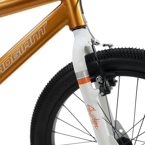 Image of ROADGIANT Showstopper, 20 T, Kids Bicycle, Single Speed, Steel Frame Cycle, Ideal for 6+ Year, Unisex, 20-inch, Dual Colour, Black (Orange)