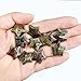 Eforcase 20PCS Star Shaped Stone Bulk Crystals Carved Stone Star Gemstones Polished Pocket Stones Set Undrilled Mini Gemstone Crystal Stone for Home Décor