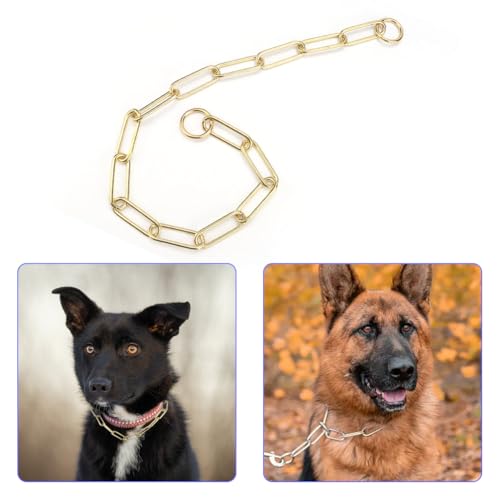 Joyzan Hundehalsband für Hunde, Hundehalsbänder, Kauversuch, Gold, Halbstrobe aus Metall, strapazierfähig, klein, mittelgroß, Training, Füße, Sicherheitskontrolle