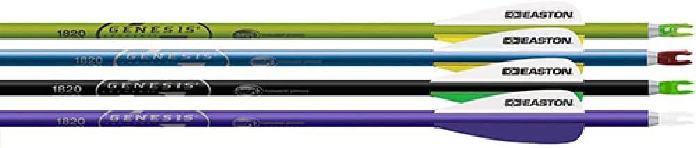 Easton Genesis V2 Arrows Blue/Green/Orange 1820 72 pk.