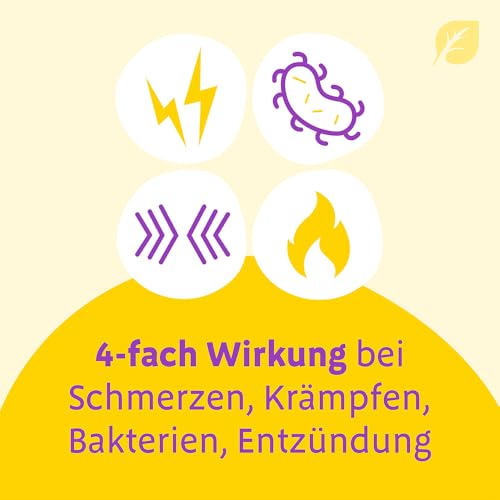 Canephron® Uno – 4-fache Wirkung bei Blasenentzündung*: bei Schmerzen, Krämpfen, Bakterien und Entzündung, mit einzigartiger Heilpflanzen-Kombination, 60 überzogene Tabletten