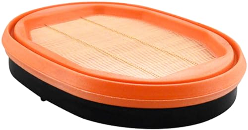Filtre à air Baldwin PA30072 pour moteur robuste diamètre 8-1/4 pouces