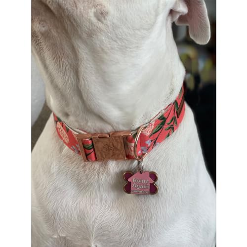 Elegant-little-tail-Dog-Collar-Pink-Floral-Print-Pet-Collar-Summer-Dog-Collar-Pet-Collar-Dog-Cotton-Durable-Dog-Collar-Metal-Buckle-Collar-for-Medium-Dogs Elegant little tail Dog Collar Pink Floral Print Pet Collar Summer Dog Collar Pet Collar Dog Cotton Durable Dog Collar Metal Buckle Collar for Medium Dogs