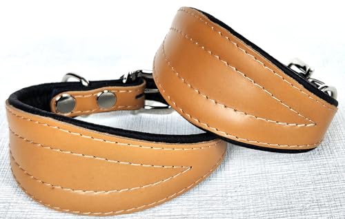 Greyhound Podenco Halsband, Halsumfang 26-32cm, 32-38 cm, 35-41cm, 40-47cm, 40-50cm Leder, Cognac- Schwarz (26-32cm/35 cm)