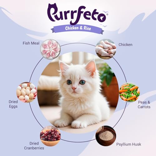 Image of Purrfeto Kitten Dry Cat Food | Chicken & Rice | 3 kg| 40% Reduction in Urinary Tract Diseases | Promotes Brain & Vision Development | Enhances Immunity |Improves Digestive Health
