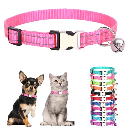 Hot Pink XS Dog Collar with Bell - Reflective Nylon
