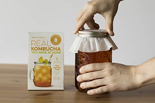 Kombucha SCOBY Starter Culture | Cultures for Health | Make Homemade Probiotic Kombucha - Thumbnail 5