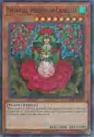 遊戯王 椿姫ティタニアル Amazon.co.jp: 遊戯王 SESL-EN041 椿姫ティタニアル Tytannial