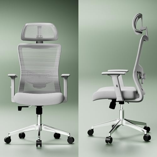 Image of Rocknova Ergonomic Office Chair for Work | 5 Year Warranty | Multi-Lock Auto-Adapt Recline | 1D Armrest | Adjustable Lumbar (D86 Grey)