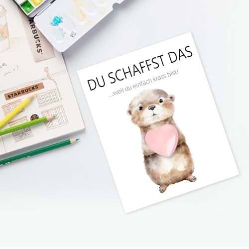 BMGRKYQX Du Schaffst Das Geschenk,Glücksstein Mutmacher Geschenk,Mutstein+Glückskarte+Organzasäckchen,Otter Mutmacher Glücksbringer für Kinder Erwachsene