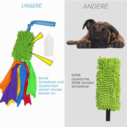 TEKCAM Hundespielzeug Mop Bungee Tug Spielzeug mit Squeaky,Interaktives Spieltrainingsseil Hunde Spielzeug für Kleine Mittlere GroßE Hunde Training Agility, Tauziehspielzeug