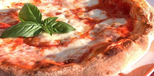 Oliera in Rame ed Ottone Artigianale 0,500 Litri da Cucina Professionale per Pizzeria Accessorio Pizza