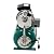 1HP Shallow Well Pump with Pressure Tank, 110V Automatic Water Booster Jet Pump, Garden Water Pump Jet, Irrigation Pump for Home, Garden, Farm, Lawn Sprinkler Systems (Green)