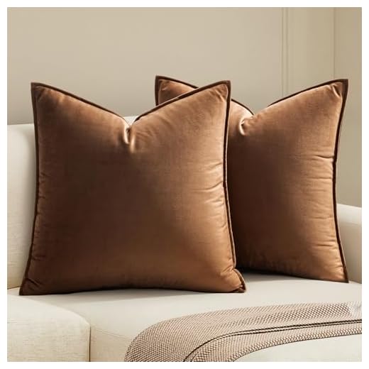 25+ Stunning Dark Feminine Decor Ideas for Your Room 2 MIULEE Pack of 2 Brown Decorative Velvet Throw Pillow Cover Soft Pillow Cover Soild Square Cushion Case for Sofa Bedroom Car 18x 18 Inch 45x 45cm