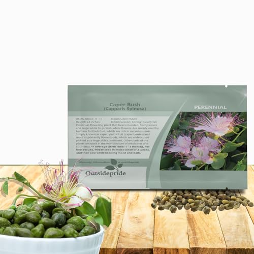 Outsidepride Caper Bush Seeds - 100 Pcs. Perennial, Low Maintenance, Herb Seeds for Planting Edible Fleshy Leaves & Large Pinkish-White Blooms for Culinary Use & Pollinator Gardens