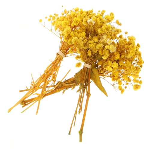 Ramillete de flores secas Gypsophila amarillo miniatura 1