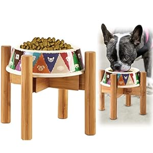 Adjustable Dog Bowl Stand