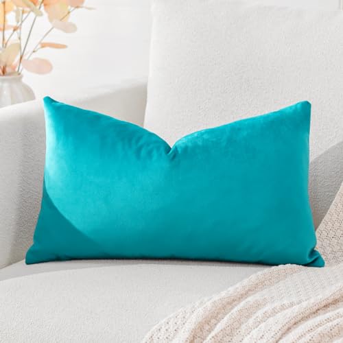 Artscope Housse de Coussin en Velours Décoratif Canapé Taie d'oreiller Super Doux Decoration Maison Salon Chambre pour Canapé 30x50cm Turquoise