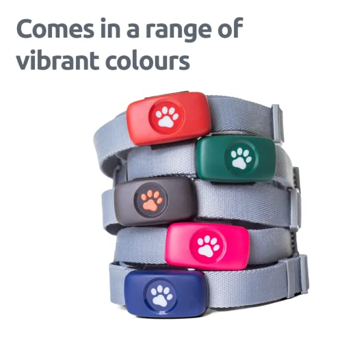 PitPat Dog GPS Tracker - No Subscription Required - Suitable for All Dogs And Fits All Collars - Smart Activity Tracker, Satellite Tracking With Unlimited Range - 100% Waterproof Pet Tracker (Black) - Image 5