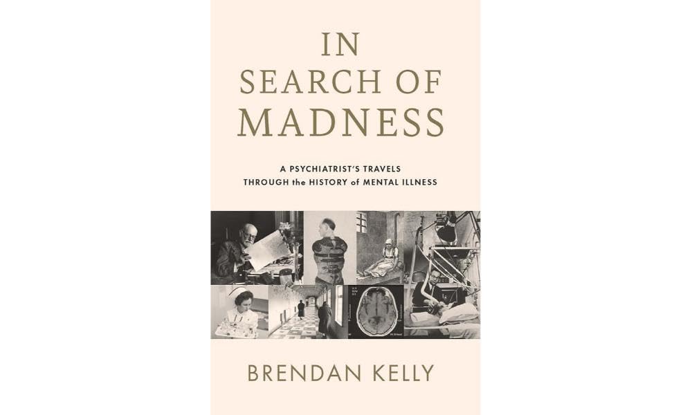 In Search of Madness : A psychiatrists travels through the history of mental illness