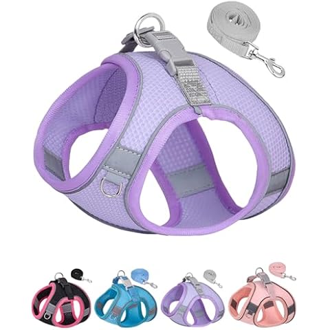 Aecllcea Dog Harness for Small Medium Sized Dog, Puppy Harness and Leash Set Training, Dog Harness and Leash Set, Dog Vest Harness, Dog Harness Small Sized Dog, Small Dog Harness. (Purple, M) Cover
