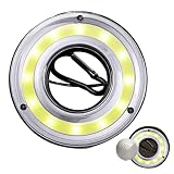 Teckey Lampes de Golf à Disque - Balles de Golf Lumière LED - Mettre des Drapeaux et des poteaux Verts Mettre des Tasses Lumineuses dans Un Trou de Golf Vert Qui Brillent dans Le Noir pour Jouer au