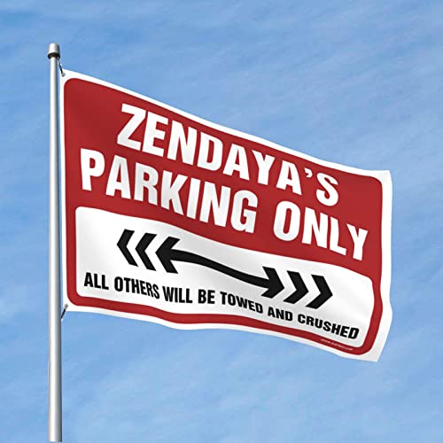 Drapeau amusant Zendaya : fixez cette tenture géante sans abîmer vos murs