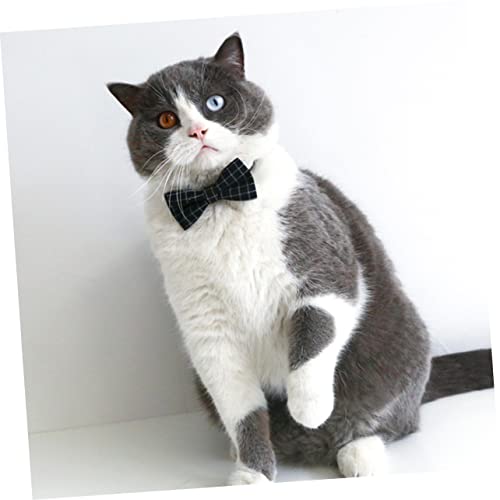 Set disfraz de graduación para perros y gatos miniatura 3