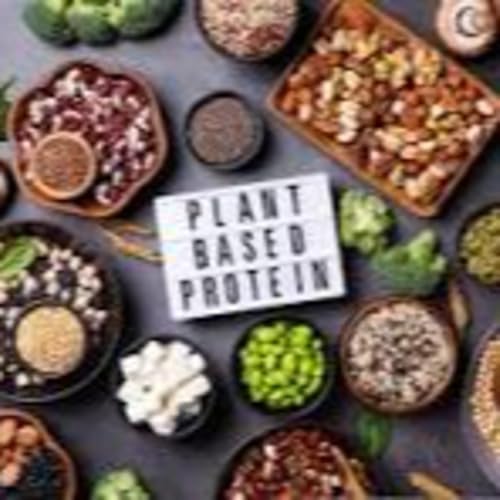 Episode 132: The "Plant-Based" Paradox -- The Hidden Dangers of Plant Based Products