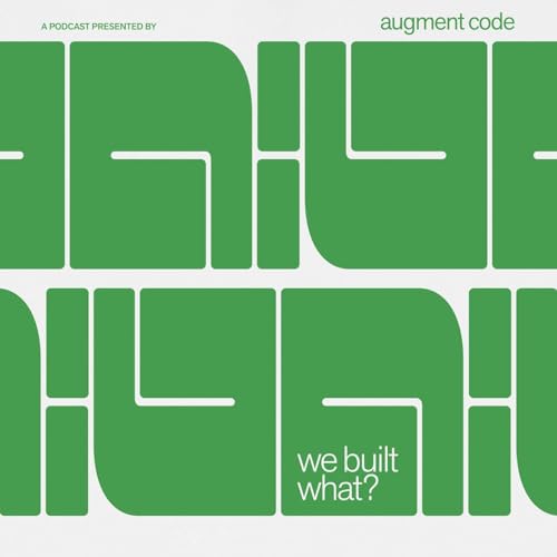 『We Built What?』のカバーアート