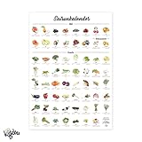 Saisonkalender für Obst und Gemüse | Immerwährender Wandkalender als Poster | heimische Obst- und Gemüsesorten | Format A2