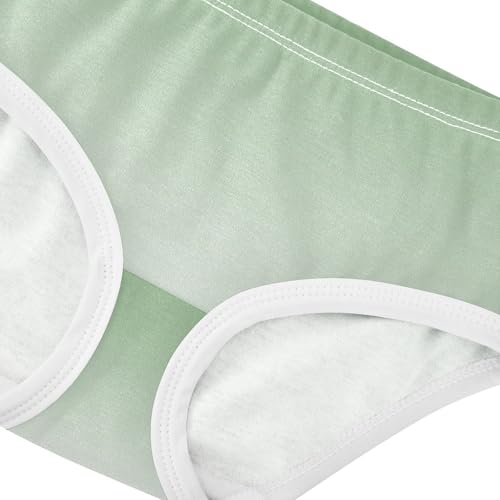 Joisal Toddler Girls Underwear 2t Cotton Cute Panties Girl Fun Print Kids Briefs Undies Dinosaur Green White Gradient4