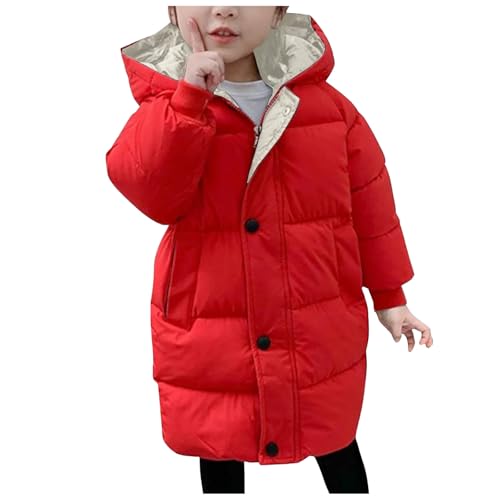 [Bhmobp] _EWPbg LbY ~ ȃWPbg t[ht ̎q j̎q  h h ȃR[g {[CY g n Vv AE^[ K[Y  JWA ~  lC H ~ ʊw ʉ